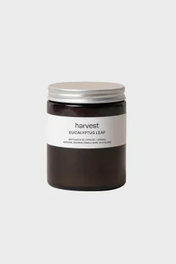 Harvest | Eucalyptus Leaf Candle